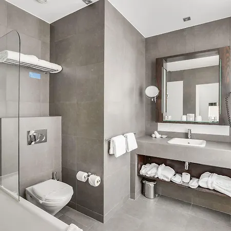 Hotel Duret Champs Elysees Paris